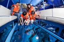 Mall Aquarium and Underwater Zoo