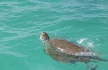 Full Day Guided Tour to Sian Ka'an (short way)