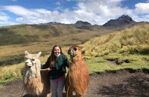 Quito Old Town Tour with Gondola Ride and Visit to the Equator