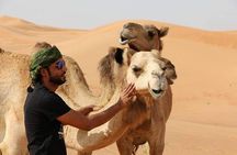  Desert Safari Dubai ,VIP Sitting, Live BBQ & Camel Ride