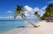 Full-Day Tour to Saona Island from Bayahibe with Lunch