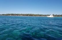 Full-Day Tour to Saona Island from Bayahibe with Lunch