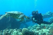 Discover Scuba Diving Class from Lahaina