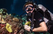 Discover Scuba Diving Class from Lahaina