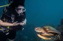 Discover Scuba Diving Class from Lahaina