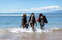 Small-Group Shark and Turtle Dive for Certified Divers