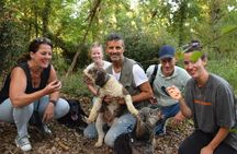 Truffle Hunting Experience Siena Tartufi