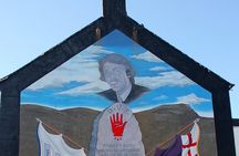 Belfast’ political war and peace private taxi tour 2 hrs