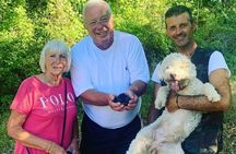 Truffle Hunting Experience Siena Tartufi