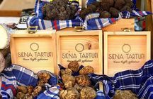 Truffle Hunting Experience Siena Tartufi