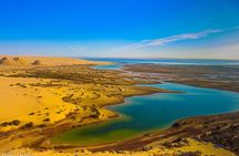 Private Tour to Whales Valley & Wadi El Rayan Waterfalls in El Fayoum from Cairo
