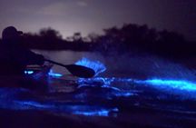Florida Bioluminescence Clear Kayak tour/ Beacon 42 (Titusville)