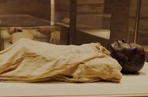 Short Stopover Tour to The National Museum of Egyptian Civilization