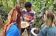 Organic Coffee Tour and Local Food Experience in Arusha