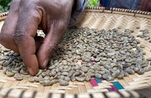 Organic Coffee Tour and Local Food Experience in Arusha