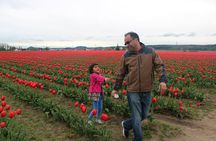 Tulip Festival at Skagit Valley ,La Conner and Deception Pass