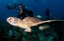 Learn to Scuba Dive in Punta Cana