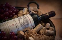 Unique wine tasting of organic Cretan wines