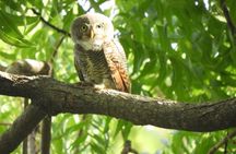 Lunugamvehera National Park Private Safari