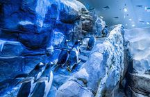 Dubai Aquarium and Underwater Zoo with Penguin Cove Tickets.