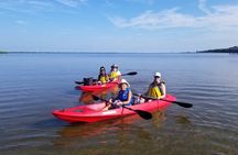 Indian River Clear Bottom Kayak or Paddleboarding Manatee and Dolphin Tour 