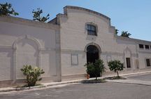 Primitivo and Negroamaro wine tour: a visit to two wineries and typical lunch. From Lecce