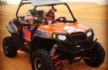 1 Hour Majestic Arabian Desert Buggy Tour