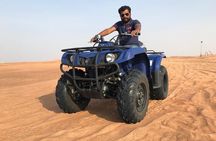 1 Hour Majestic Arabian Desert Buggy Tour