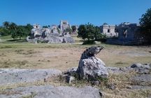 Swim with turtles + snorkelling + archaeological zone of Tulúm + cenote
