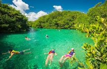 Tulum Area Experiences Guided Snorkeling Tour - Casa Cenote + Ocean Reef & Lunch