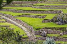 Half day Acclimatization Hike with Llamas and Alpacas in Cusco 
