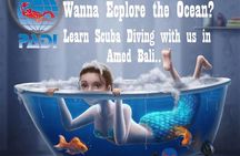 Padi Discover Scuba Diving In Amed Bali