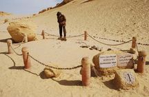 From Cairo to Whales Valley and Wadi El Rayan Waterfalls