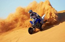 VIP Desert Safari Dubai