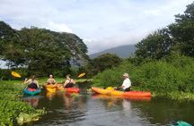 Private Kayaking Experience in Ometepe