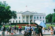 National Mall & Cherry Blossoms Tour with Optional Museum Tickets