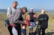 Yellowstone Full-Day Upper Loop with Wildlife Adventure w/Lunch