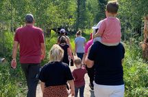 Yellowstone Full-Day Upper Loop with Wildlife Adventure w/Lunch