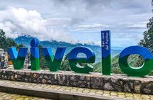 Amazing experience in the mountain of San Jose del Pacifico
