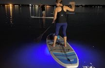 Glow in the Dark Clear Kayak in Paradise