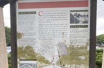 African American Heritage Tour of Chicago 