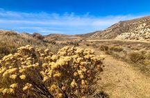 Guided Half-Day Scenic Tour - Off The Beaten Path