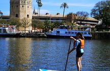 Guided paddle surf tours on the Guadalquivir