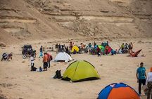 Relaxing Day Tour To Wadi Degla Protectorate In Cairo