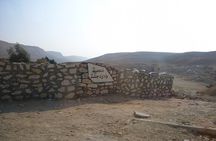 Relaxing Day Tour To Wadi Degla Protectorate In Cairo