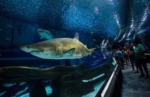 Museum of Tomorrow, AquaRio & Olympic Boulevard in Rio de Janeiro