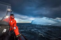 2 Hour Boat Tour in Twillingate