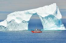 2 Hour Boat Tour in Twillingate