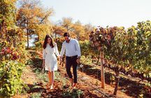 Cape Winelands Private Tour to Stellenbosch and Franschhoek