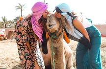  Marrakech Sunset Camel Ride in the Palm Grove 